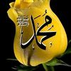 mohsingnce
