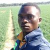mwapephir