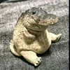 mtjmatheus