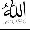 user7881961519223