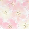 lily064952