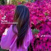noor463845
