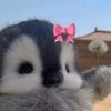 lovely_camila
