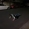 notjokingtfb