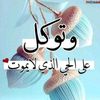 er___fy