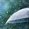 rain1rain4