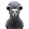 aeroxy_itm