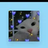 emmuuuu62