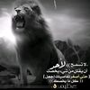 user6513075453377