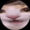 aduuxxito