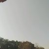 briahn_10