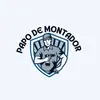 papo.de.montador