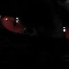 hellhound.collective