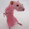 jshdhdjdhbdbfhjf