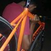 dannicole41