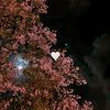 jana.m.o8