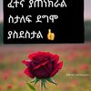 user61836600361758