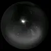 xq_fy11