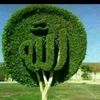 user5169725267470