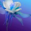 hamza83382