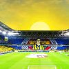 _baran296