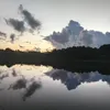 thgv_179