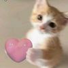 thethsuwai1338