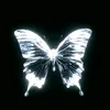 user1981401047881