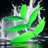 prothom_dekha_