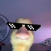 henryjo88