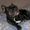 samorez22821