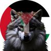 Shanix🇵🇸🇺🇦