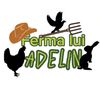 ferma_lui_adelin