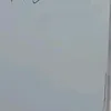_gyu54