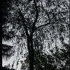 samya_khan_45