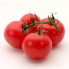 quadtomato