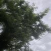 faded_faded24