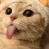 crishgdh