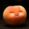 _teodorant