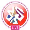alarabytvnews5