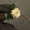 loly_alli