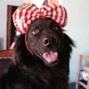 keila_perritafeliz