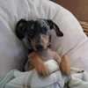 xiebe.rau0