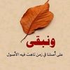 user4143955795775