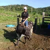 rayane.leitao
