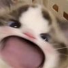 tiffanysan_2
