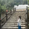bambo_2412