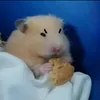 tiktok.hd78