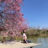 suc.khoe.la.vang86