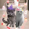 miu.miu.cute.sa.bp